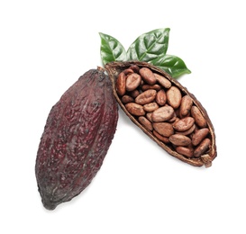 Photo of Composition with cocoa pods on white background, top view