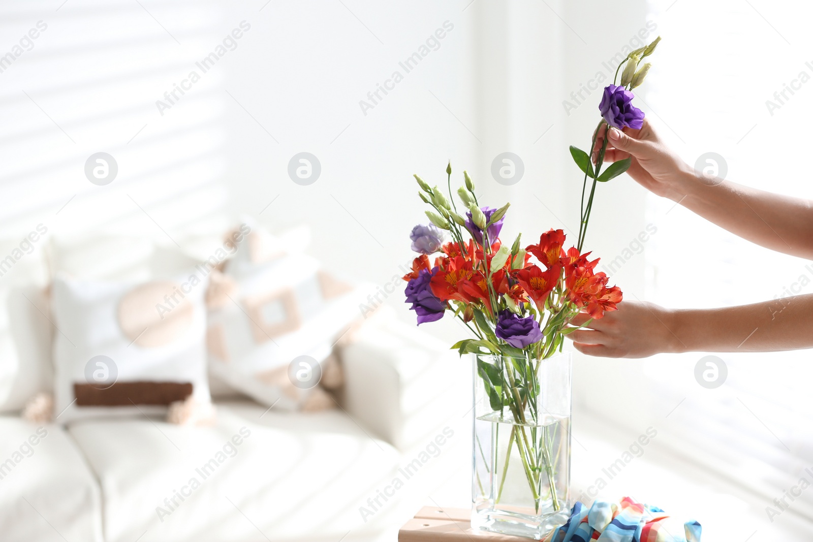 Photo of Woman taking beautiful flowers from vase on wooden table in room, closeup. Space for text