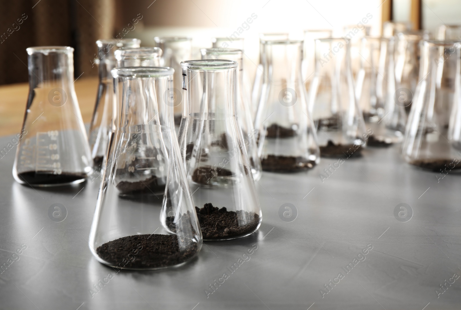 Photo of Glassware with soil samples on grey table. Laboratory research