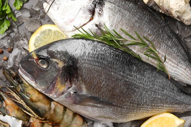 Photo of Fresh raw dorado fish, shrimps and lemon on grey table, closeup