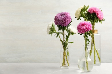 Photo of Beautiful asters in vases on table against white background, space for text. Autumn flowers