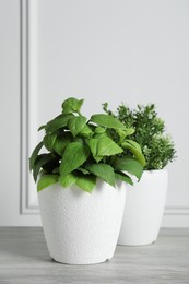 Artificial potted herbs on wooden table near white wall