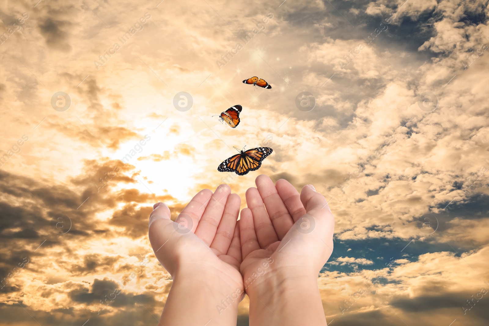 Image of Woman releasing butterflies against beautiful sky outdoors, closeup. Freedom concept