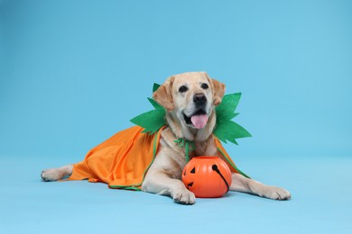 Photo of Cute Labrador Retriever dog in Halloween costume with trick or treat bucket on light blue background