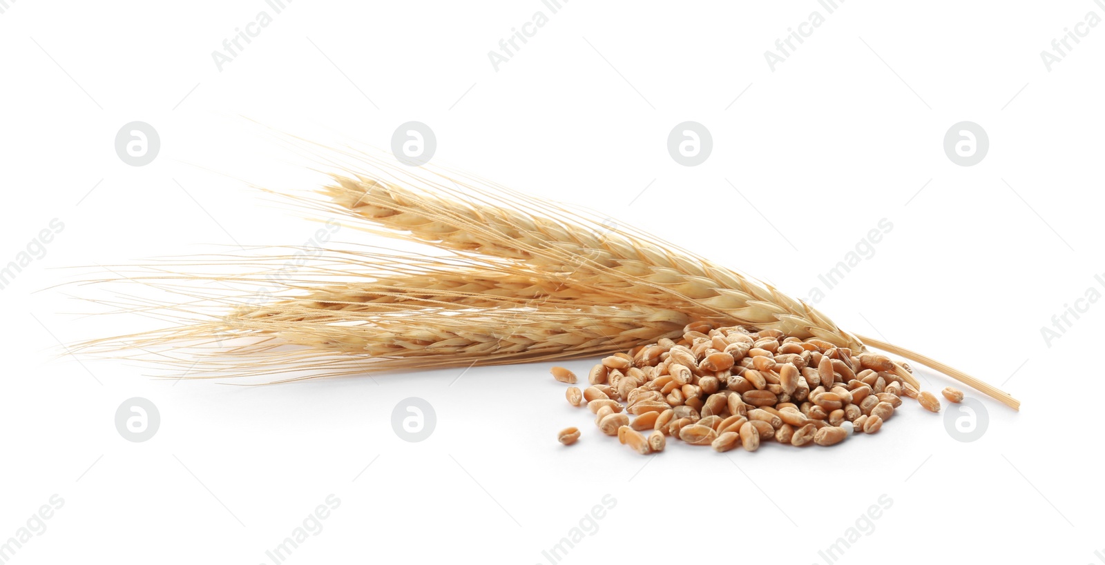 Photo of Wheat grains with spikelets on white background