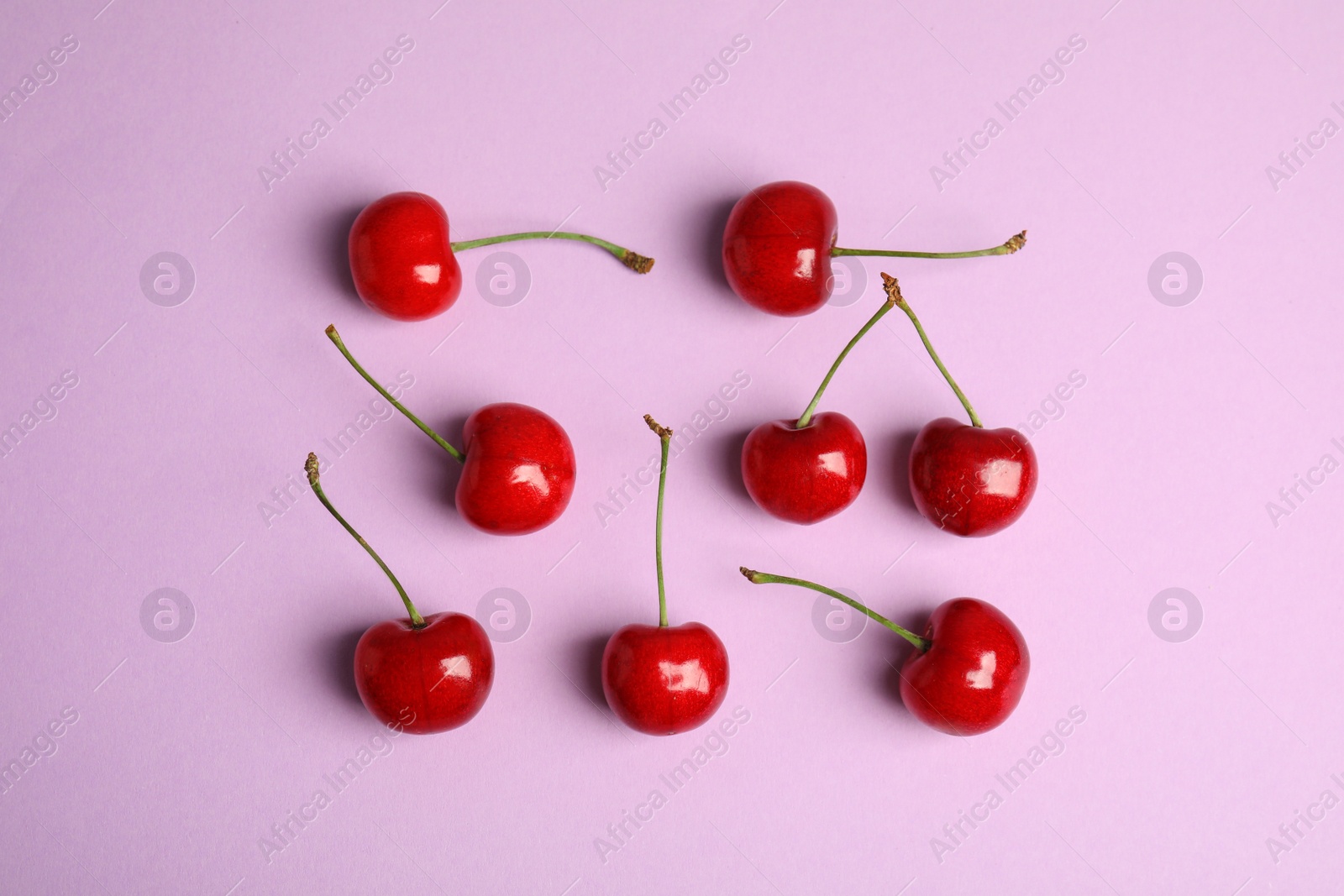 Photo of Many ripe sweet cherries on lilac background, flat lay