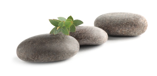 Spa stones with green branch isolated on white