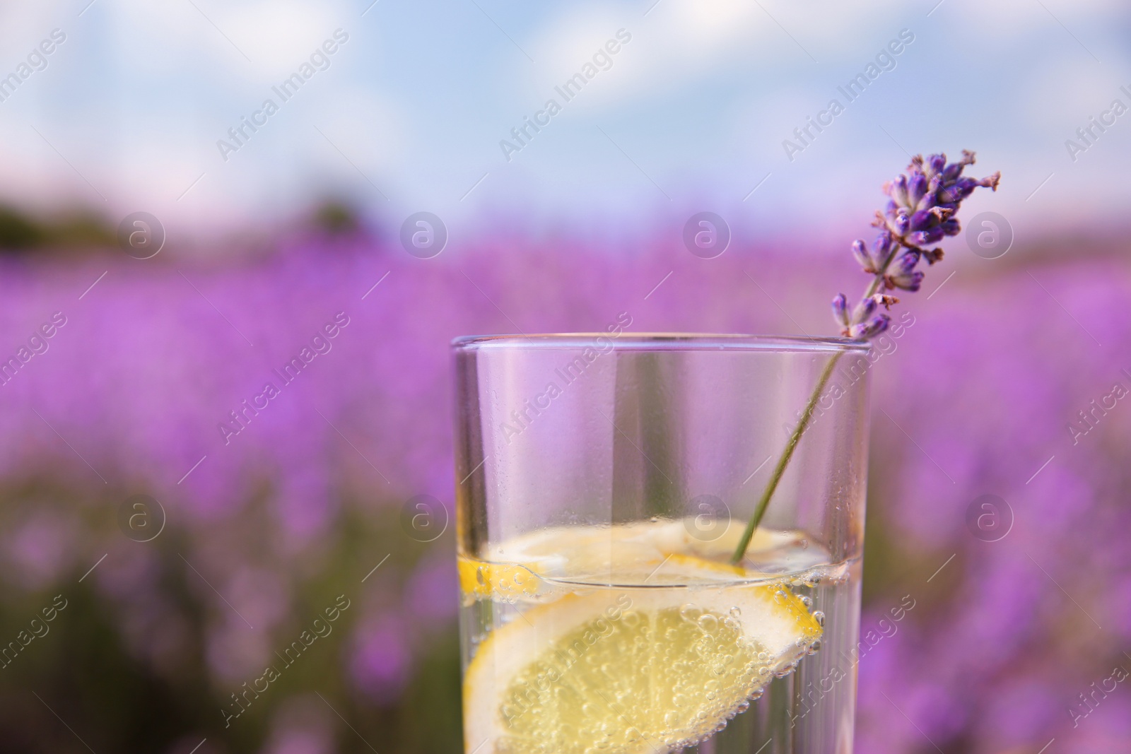 Photo of Lemonade with lemon slices and lavender flowers outdoors, closeup
