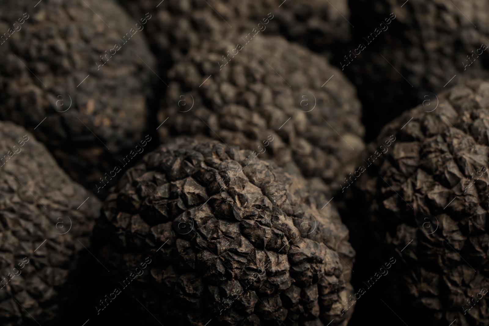 Photo of Closeup view of fresh whole black truffles