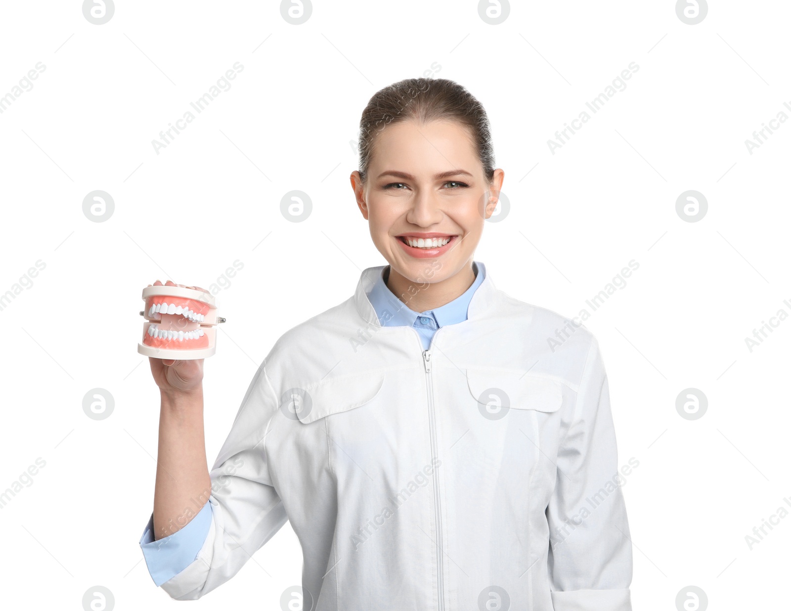 Photo of Female dentist holding jaws model on white background