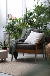 Photo of Comfortable armchair and beautiful houseplants in room. Lounge area interior