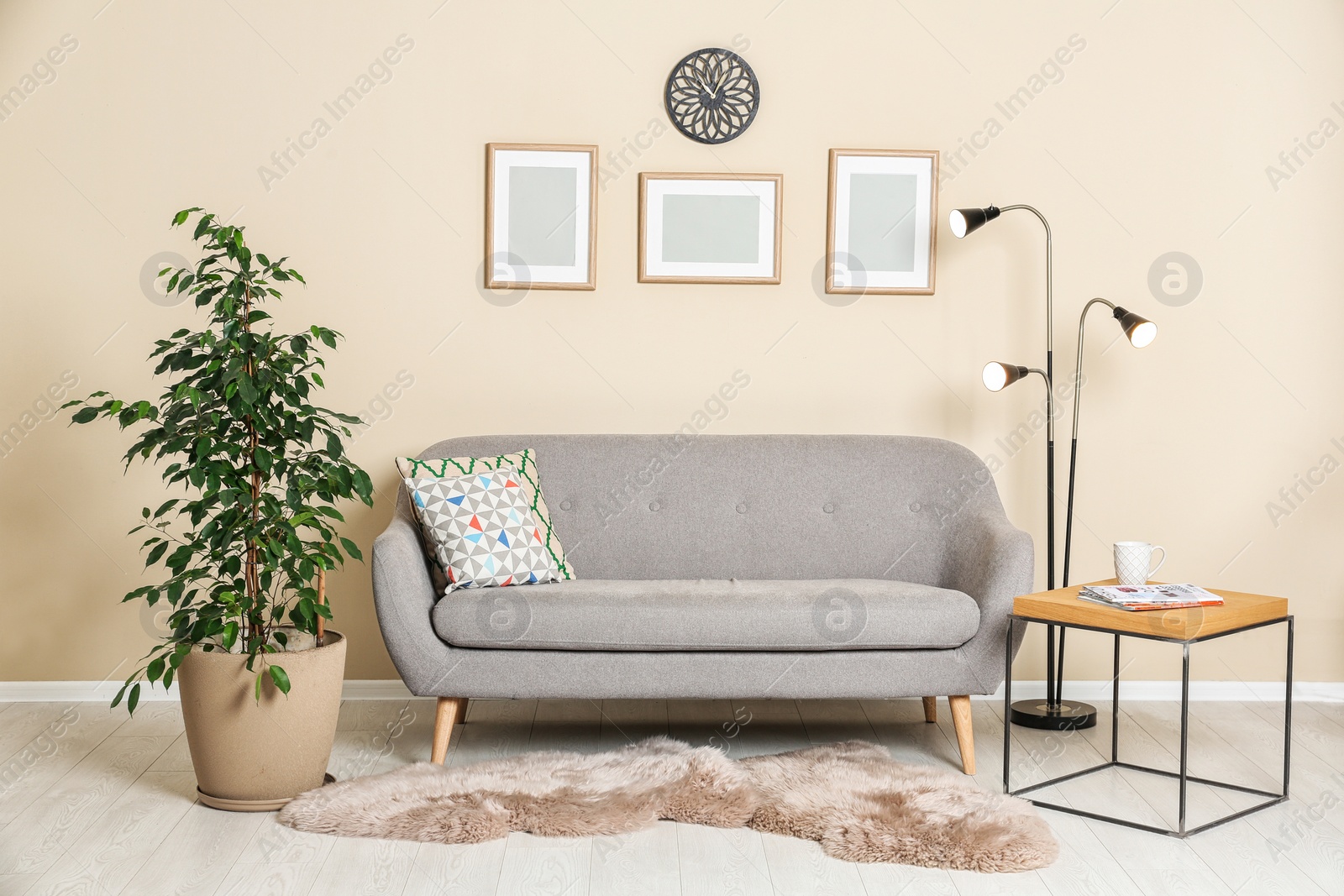 Photo of Stylish living room interior with ficus and sofa near light wall