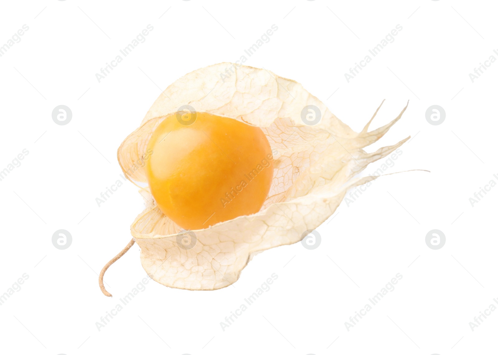 Photo of Ripe physalis fruit with calyx isolated on white