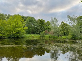 Photo of Picturesque view of trees growing near lake outdoors