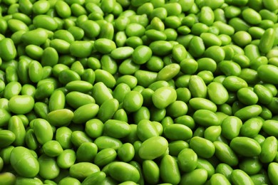 Photo of Many edamames as background, closeup. Soy beans