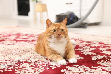 Photo of Cute ginger cat lying on carpet with pattern at home