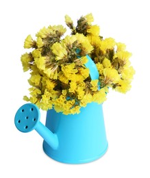Beautiful bouquet of wildflowers in watering can isolated on white