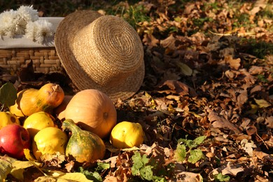 Photo of Ripe pumpkins, fruits, straw hat and flowers on fallen leaves outdoors. Space for text