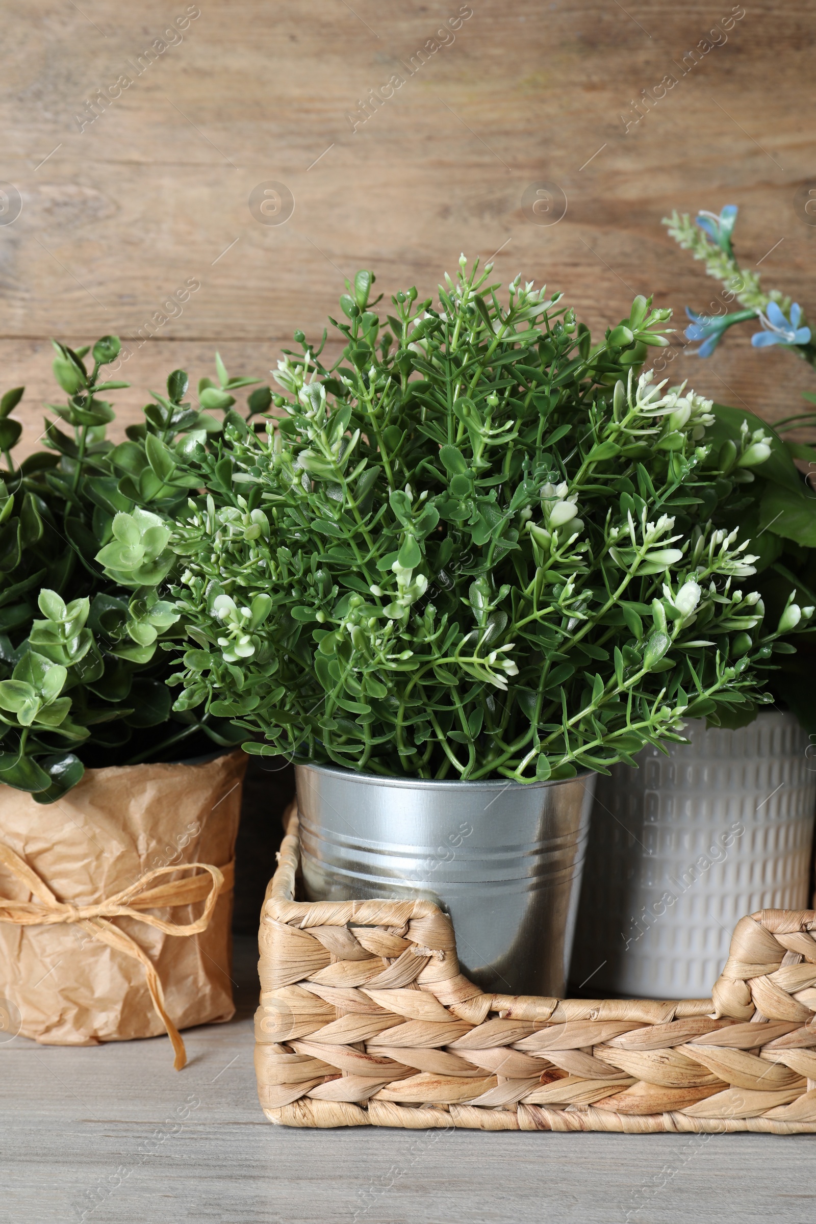 Photo of Different artificial potted herbs on white wooden table