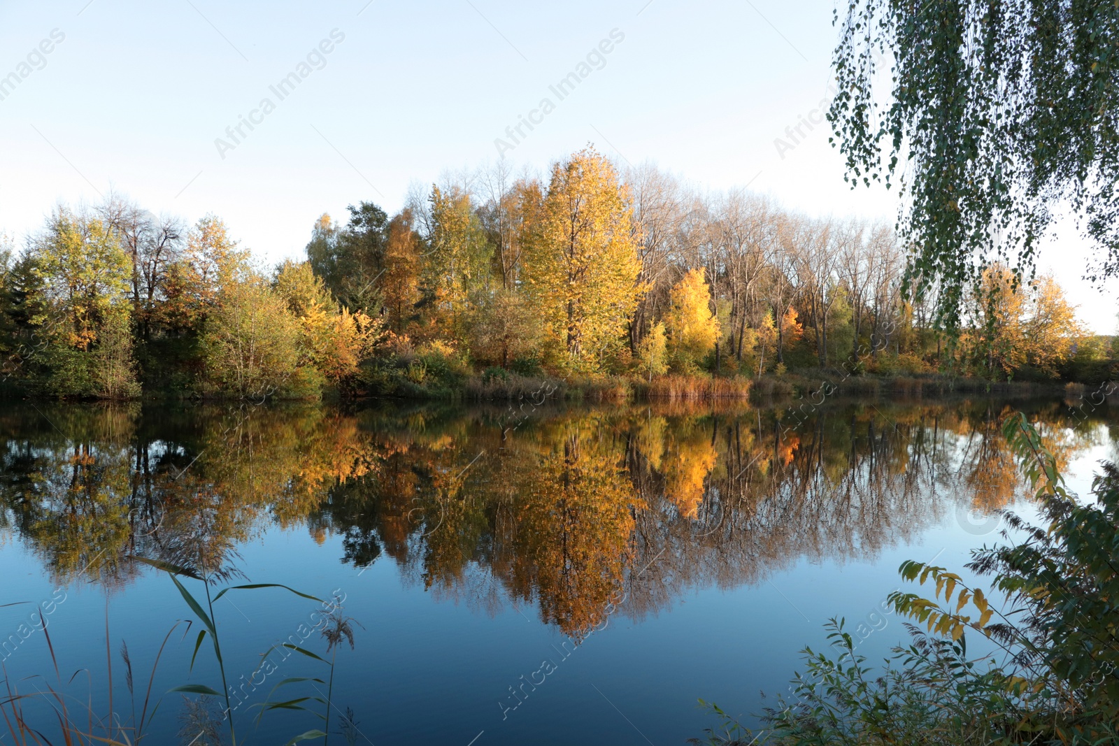 Photo of Picturesque view of lake and trees on autumn day