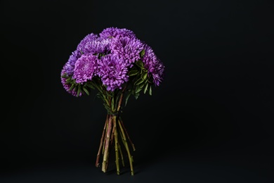 Bouquet of beautiful purple asters on black background, space for text. Autumn flowers