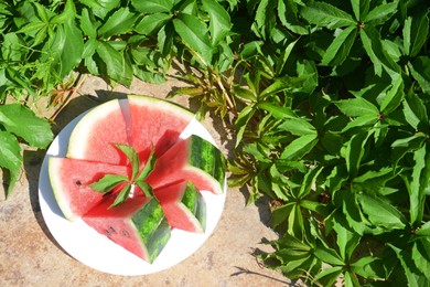 Slices of watermelon on white plate near plant with green leaves outdoors, above view. Space for text