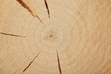 Photo of Texture of wooden surface as background, top view