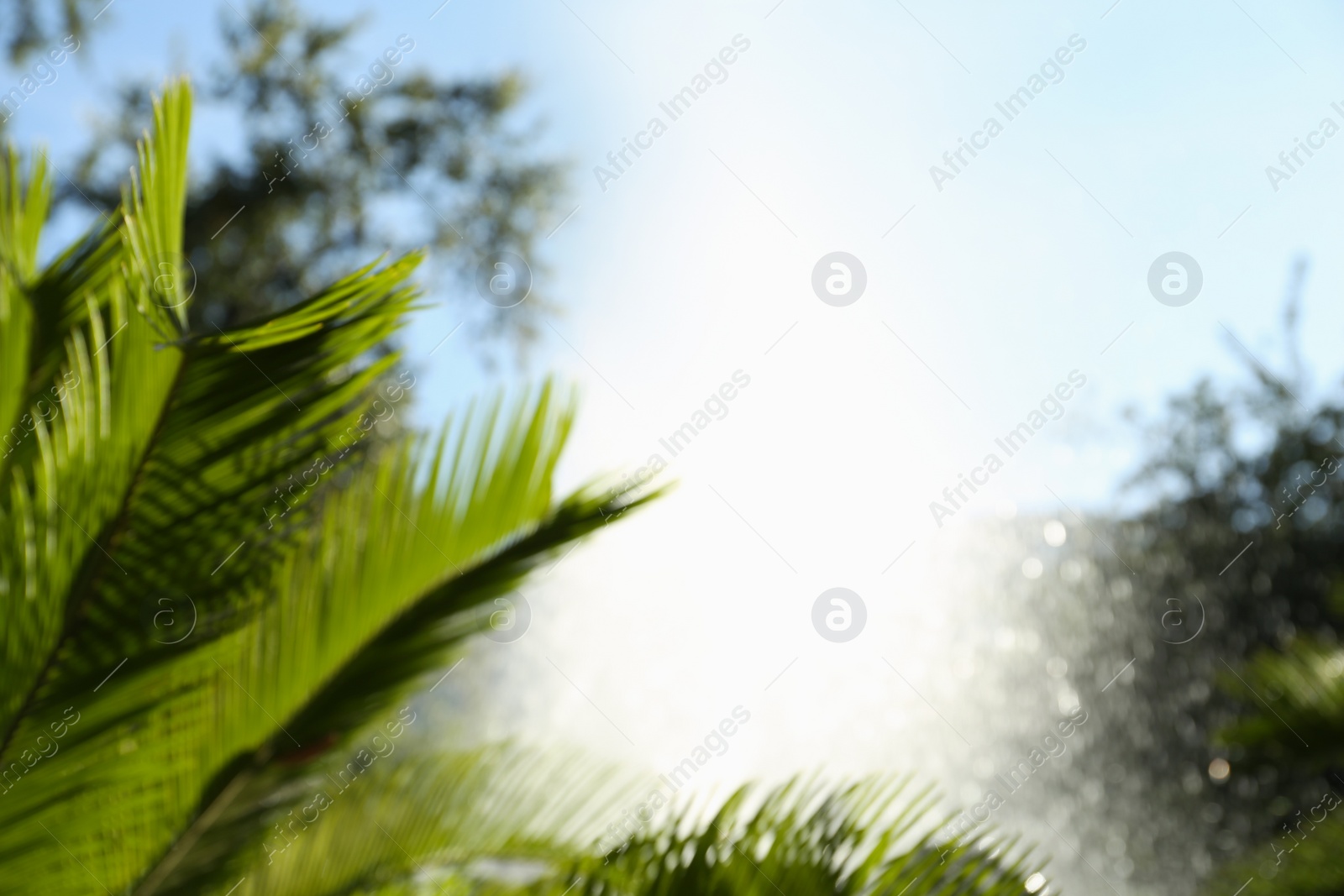 Photo of Blurred view of water fountain on sunny day outdoors. Bokeh effect