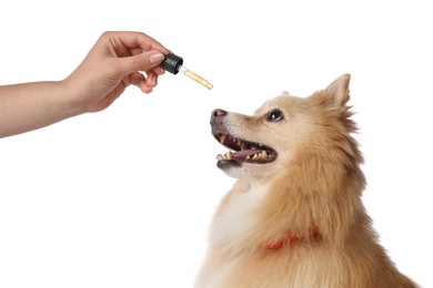 Photo of Woman giving tincture to cute dog on white background, closeup