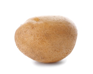 Photo of Fresh ripe organic potato on white background