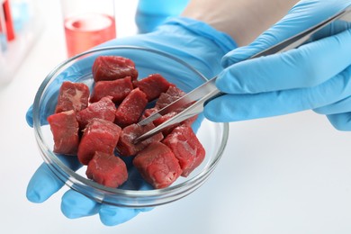 Scientist taking raw cultured meat out of Petri dish with tweezers in laboratory, closeup