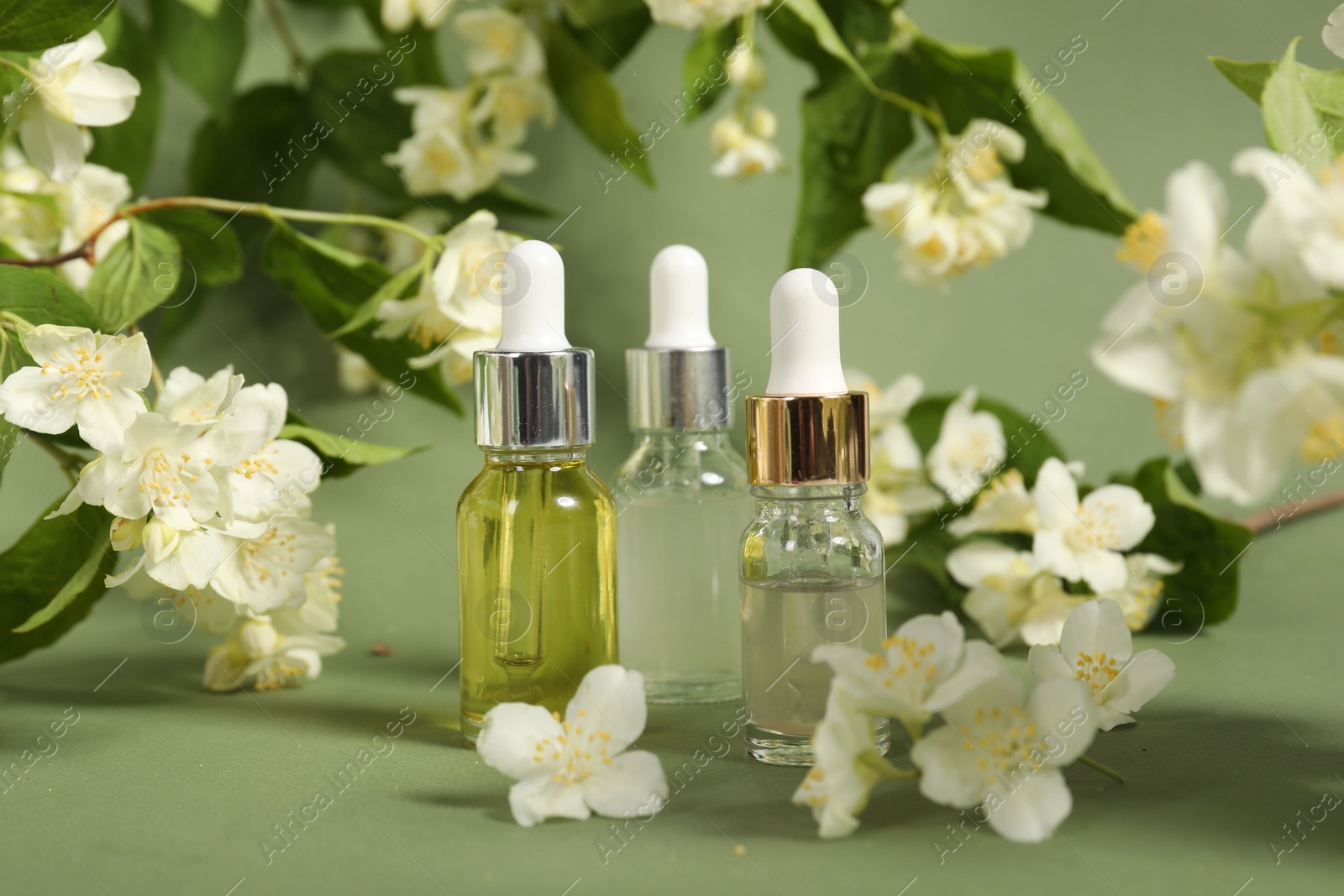 Photo of Essential oils in bottles and beautiful jasmine flowers on pale green background, closeup