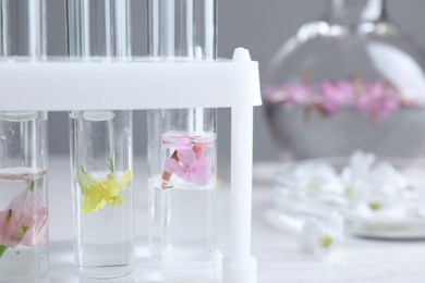 Photo of Test tubes with flowers in laboratory, closeup. Extracting essential oil for perfumery and cosmetics