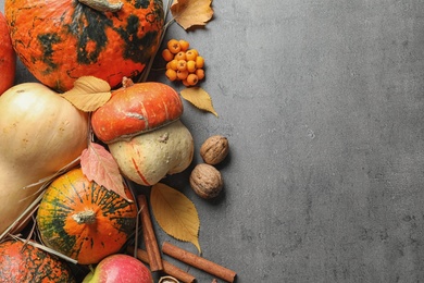 Different pumpkins on gray background, flat lay composition with space for text. Autumn holidays