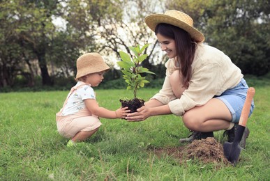 Photo of Mother and her baby daughter planting tree together in garden