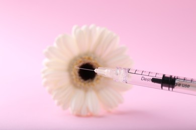 Photo of Cosmetology. Medical syringe and gerbera flower on pink background, closeup