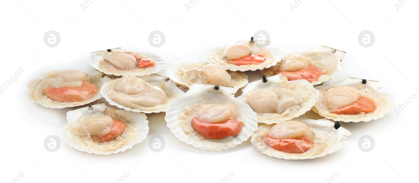 Photo of Many fresh raw scallops in shells isolated on white