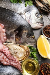 Flat lay composition with fresh raw dorado fish and different seafood on black table