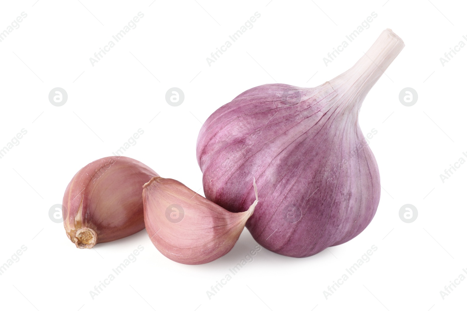 Photo of Fresh raw garlic head and cloves isolated on white