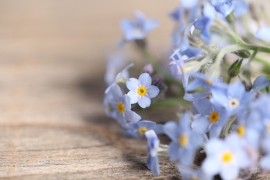 Beautiful forget-me-not flowers on wooden background, closeup. Space for text