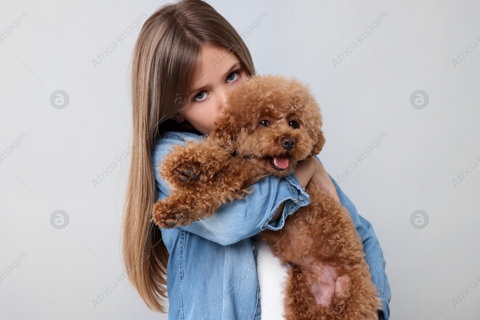 Photo of Little child with cute puppy on light grey background. Lovely pet