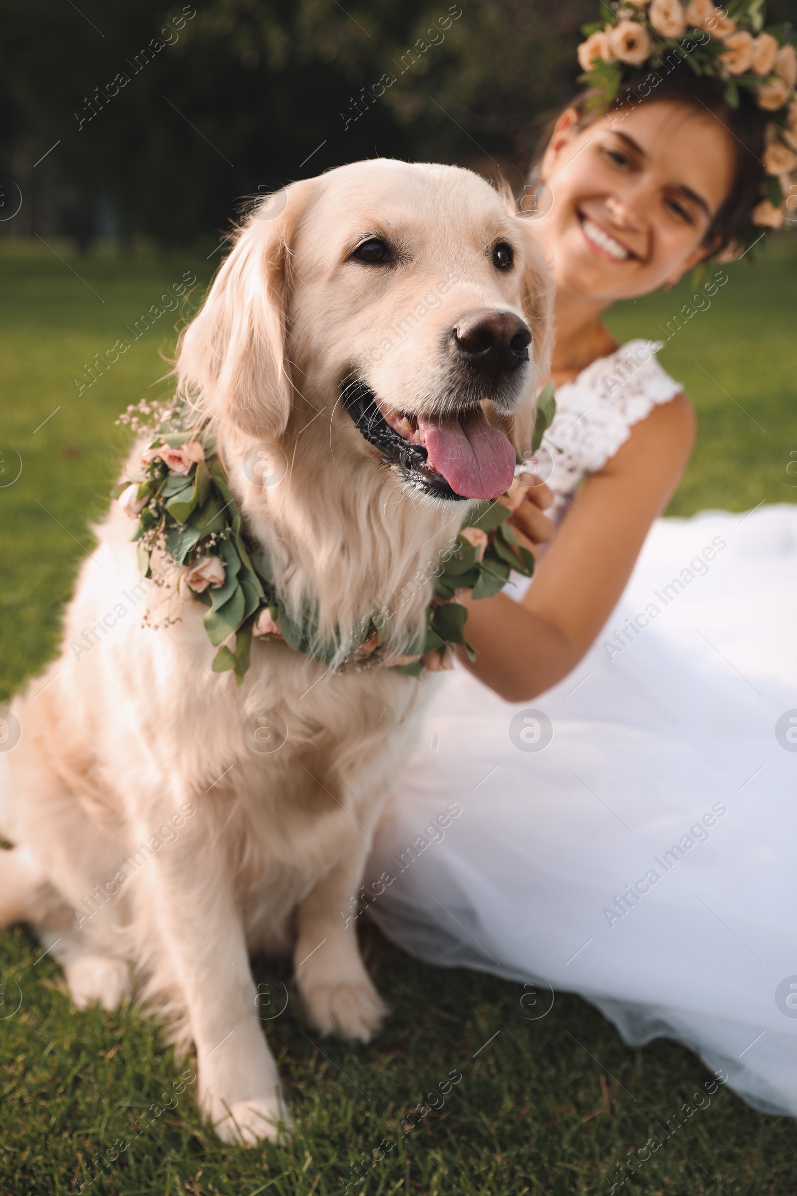 Photo of Bride and adorable Golden Retriever wearing wreath made of beautiful flowers on green grass outdoors