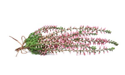 Bunch of heather branches with beautiful flowers isolated on white