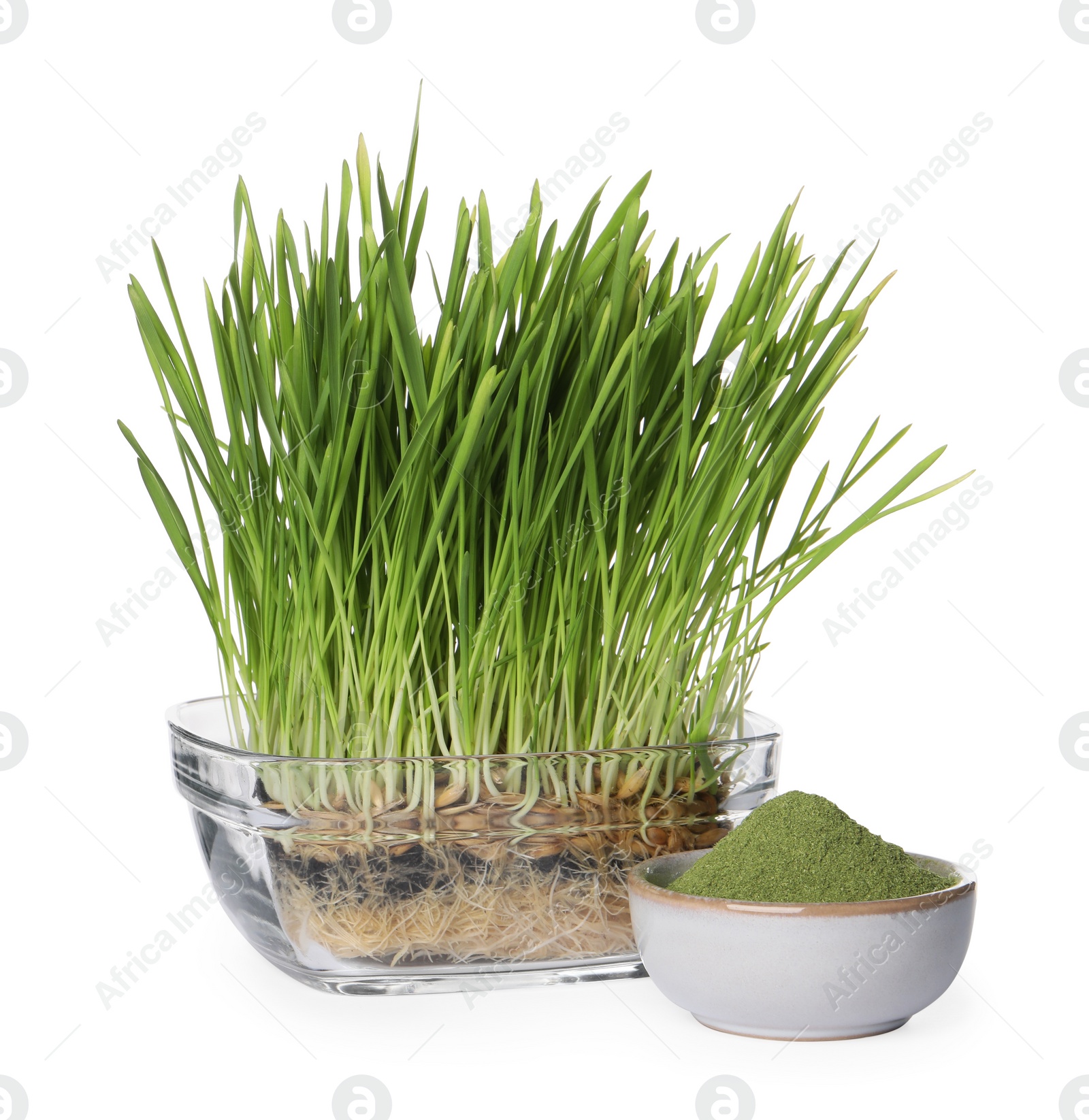 Photo of Potted fresh wheat grass and green powder in bowl isolated on white