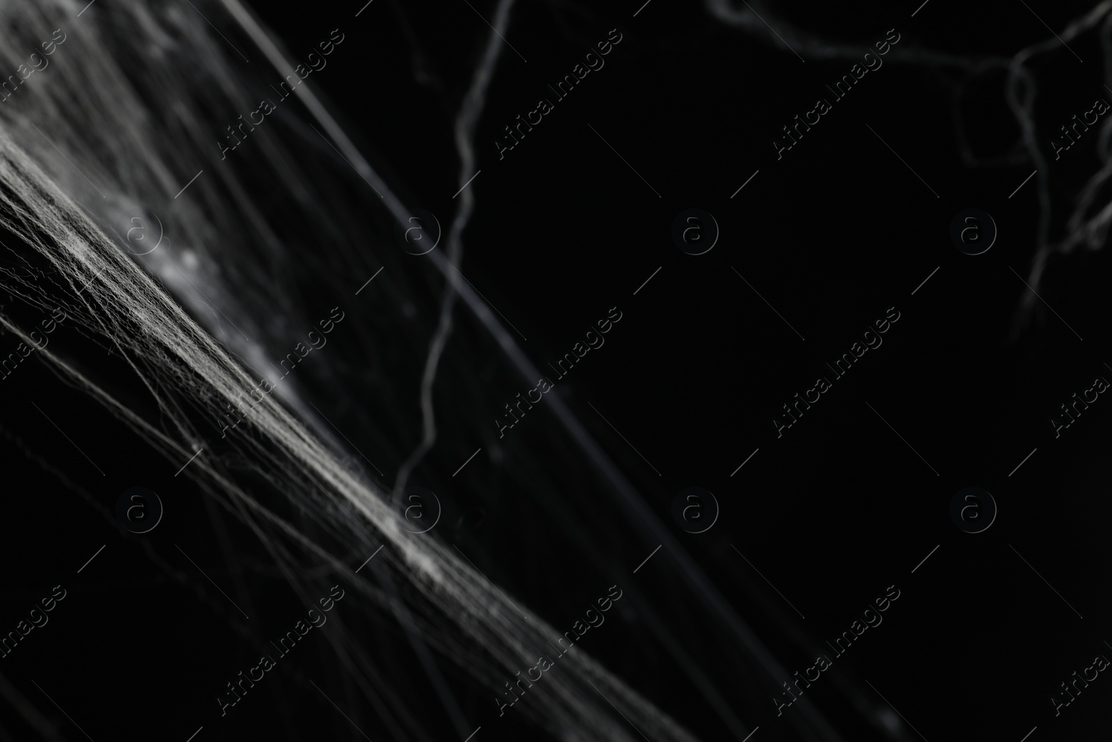 Photo of Creepy white cobweb on black background, closeup