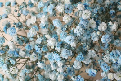 Photo of Closeup view of beautiful white and light blue gypsophila flowers