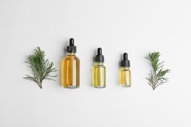 Three different bottles with essential oils between pine branches on white background, flat lay