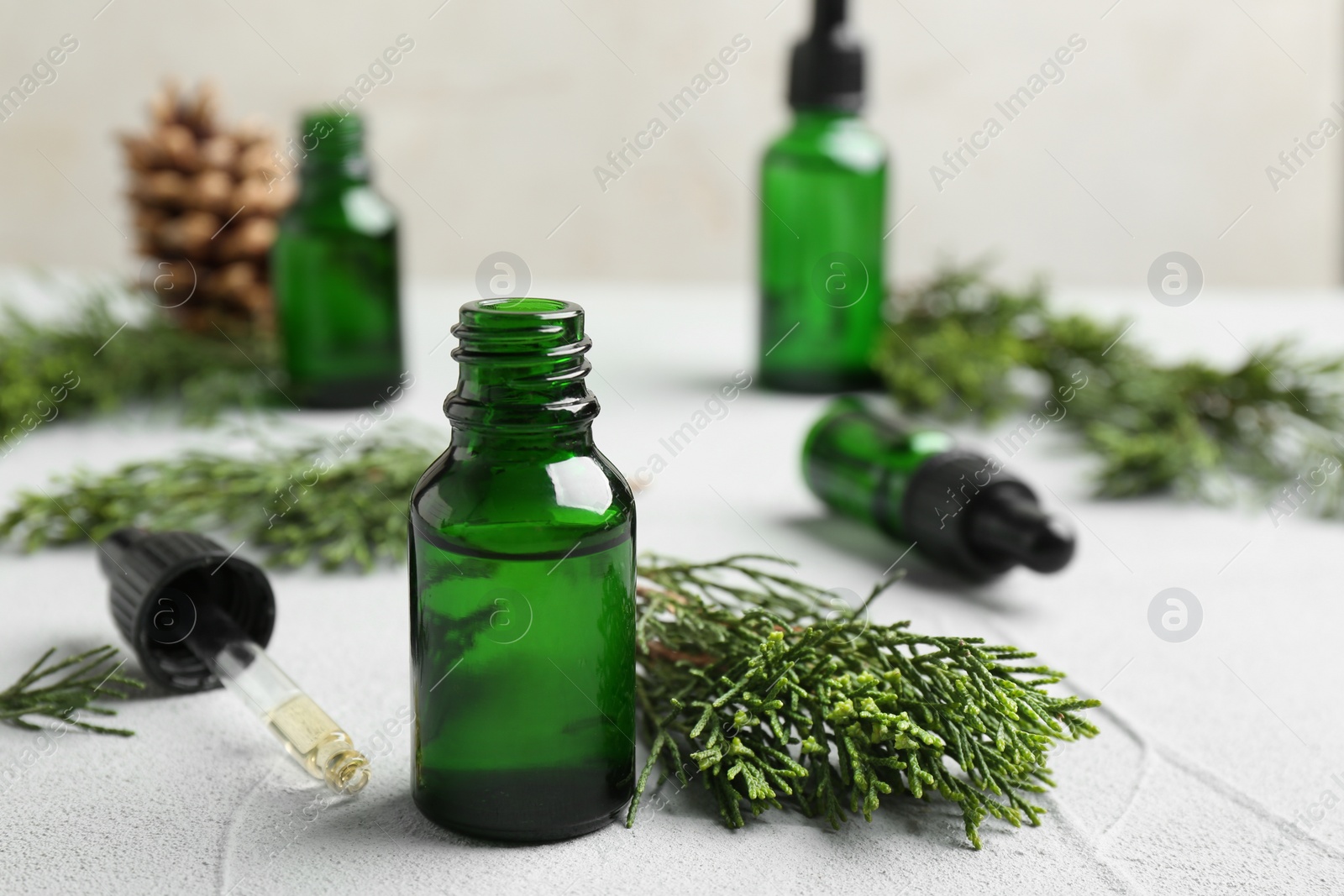 Photo of Composition with bottle of conifer essential oil on light table. Space for text