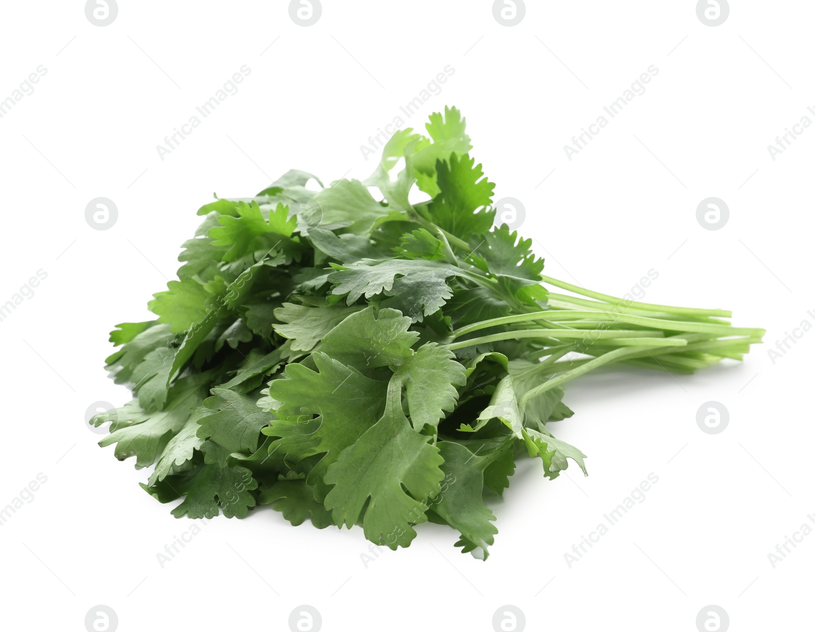 Photo of Bunch of fresh green organic cilantro isolated on white