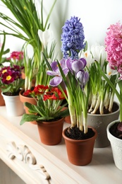 Photo of Different beautiful potted flowers on table near white wall